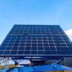 Darwin's Electricity