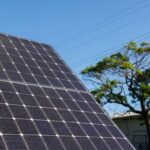 Solar System is Performing Optimally in Darwin