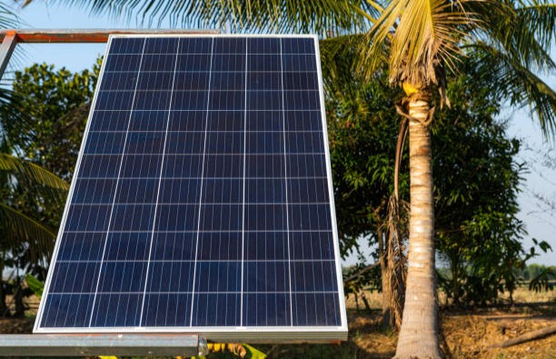 solar panel cleaning service Darwin